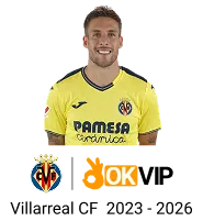 Đội ngũ hỗ trợ khách hàng chuyên nghiệp của tydo88