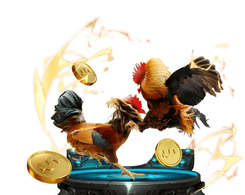 Đá gà trực tiếp tại trường đấu tydo88 HI88